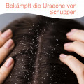 STIEPROX Intensiv Shampoo