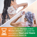 KETOZOLIN 2% Shampoo