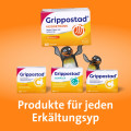 GRIPPOSTAD Heißgetränk Pulver