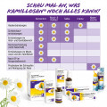 KAMILLOSAN Mund- und Rachenspray