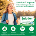 SOLEDUM 100 mg magensaftresistente Kapseln