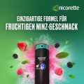 NICORETTE Fruit &amp; Mint Spray 1 mg/Sprühstoß NFC